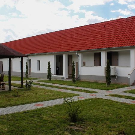 Das Blaue Haus Guesthouse - Kovacshida Exteriér fotografie